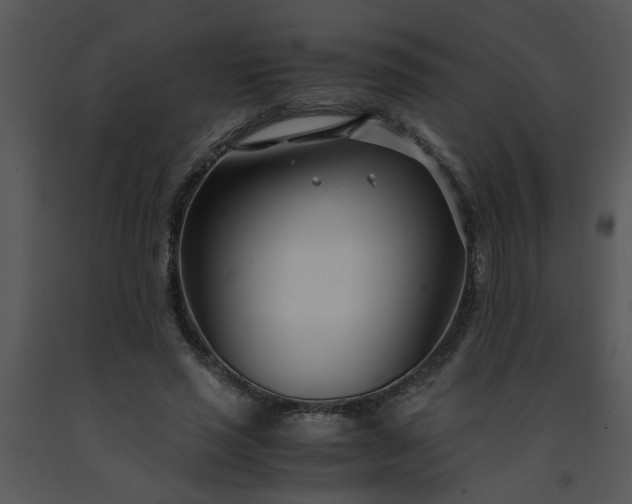 X0000091450637200708301811