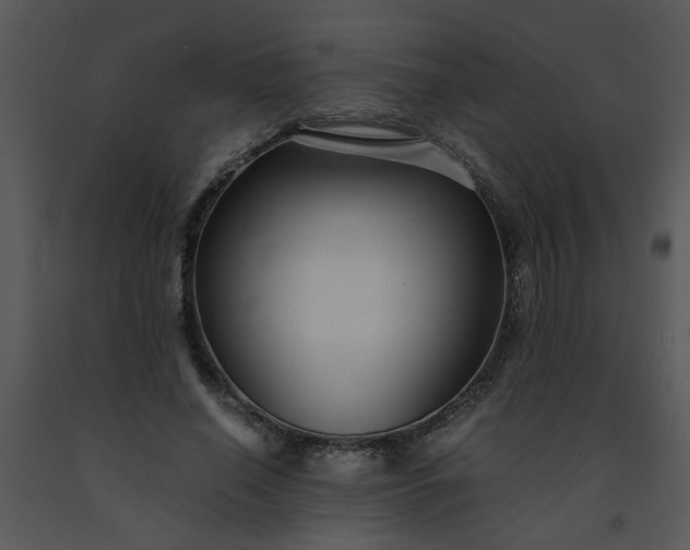 X0000091450638200708301811