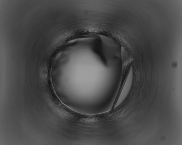 X0000091450639200708301811