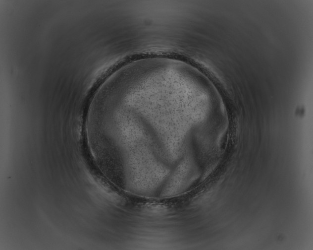 X0000091450640200708301811