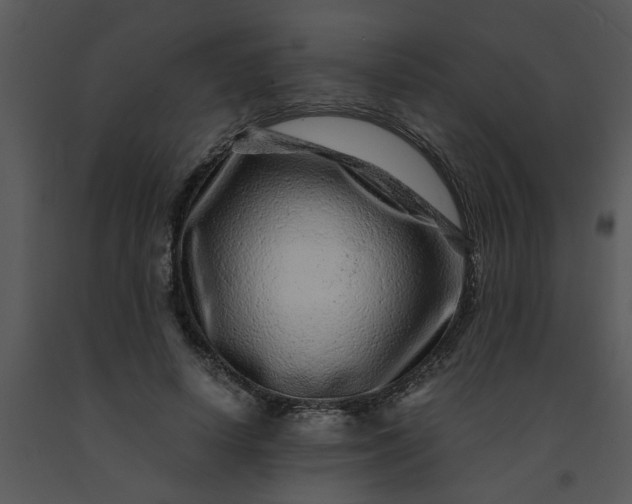 X0000091450642200708301811