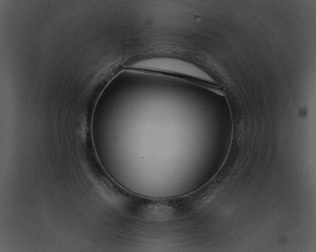 X0000091450644200708301811