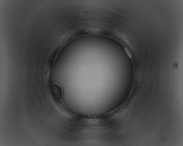 X0000091450645200708301811