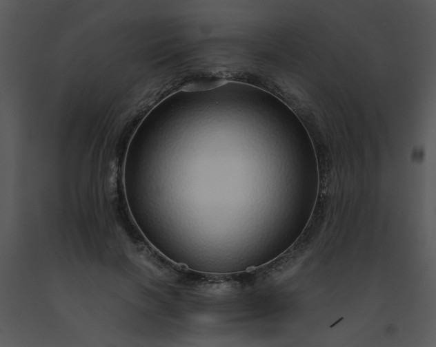 X0000091450646200708301811