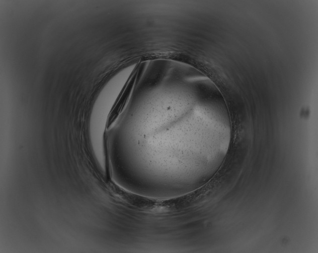 X0000091450647200708301811