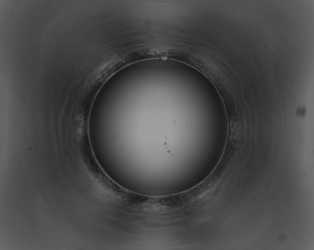 X0000091450648200708301811