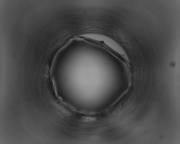 X0000091450649200708301811