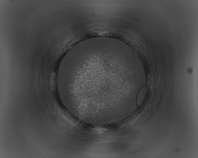 X0000091450650200708301811