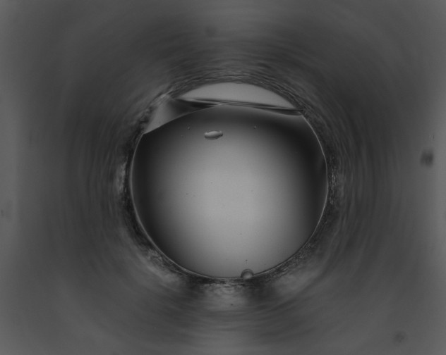 X0000091450652200708301811