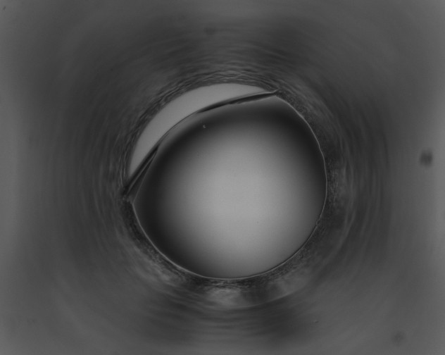 X0000091450653200708301811