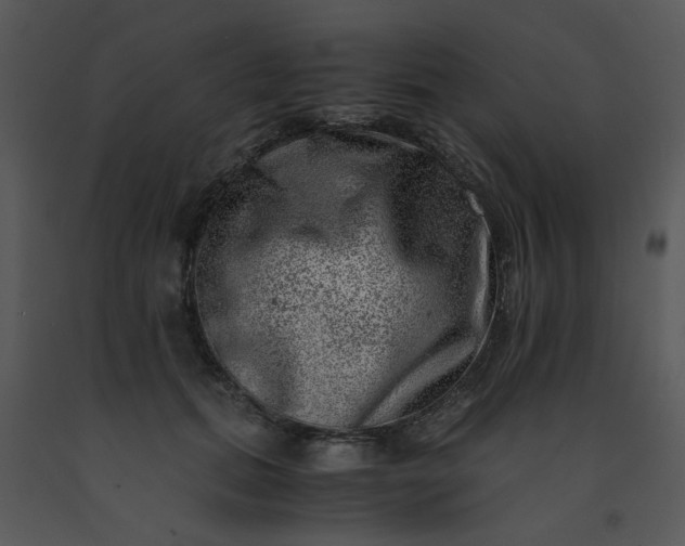 X0000091450655200708301811