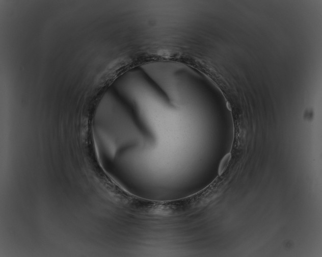 X0000091450656200708301811