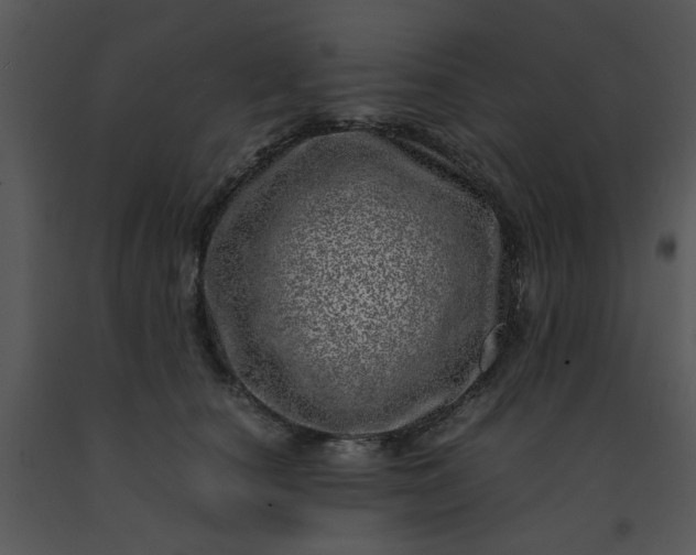 X0000091450660200708301811