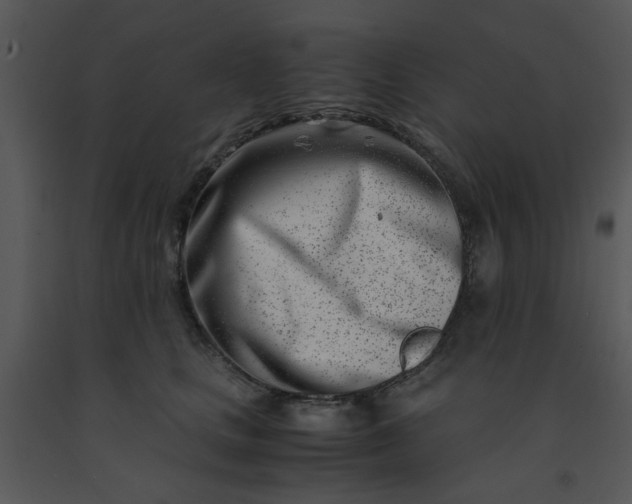 X0000091450661200708301811