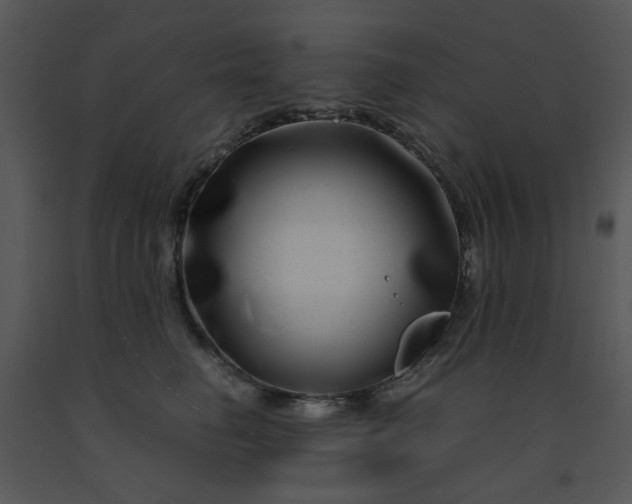 X0000091450662200708301811
