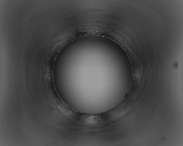 X0000091450663200708301811