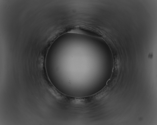 X0000091450664200708301811