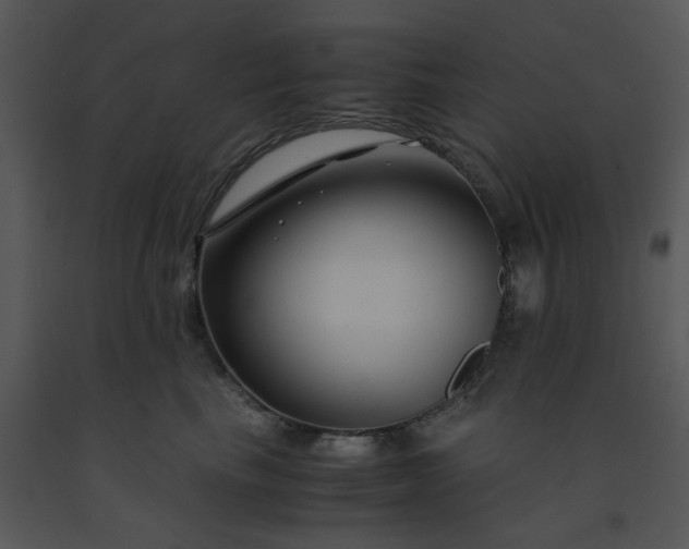 X0000091450665200708301811