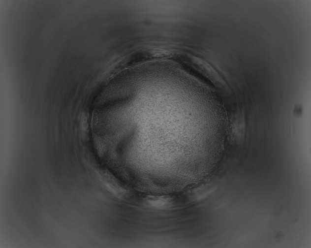 X0000091450667200708301811