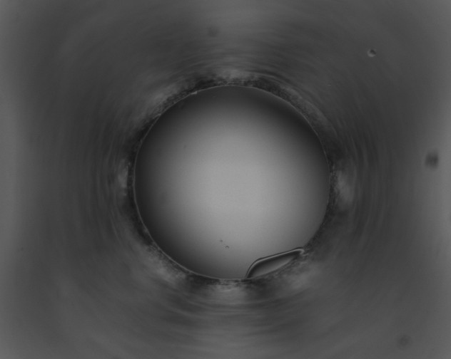 X0000091450668200708301811
