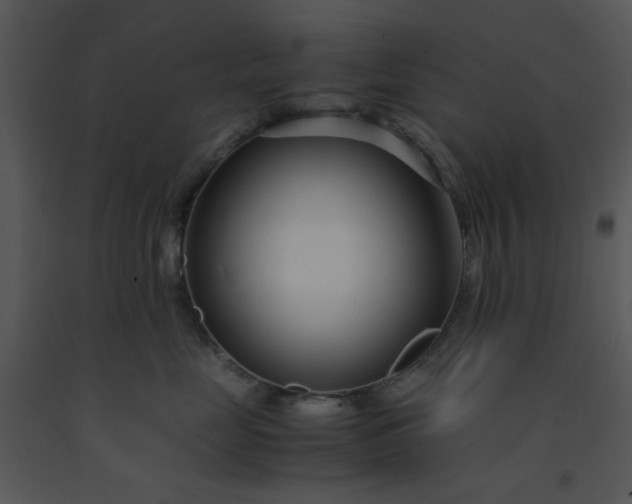 X0000091450669200708301811