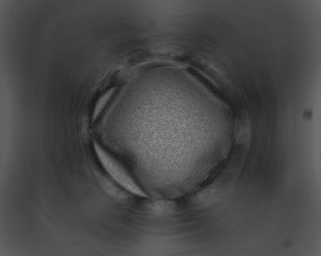 X0000091450670200708301811