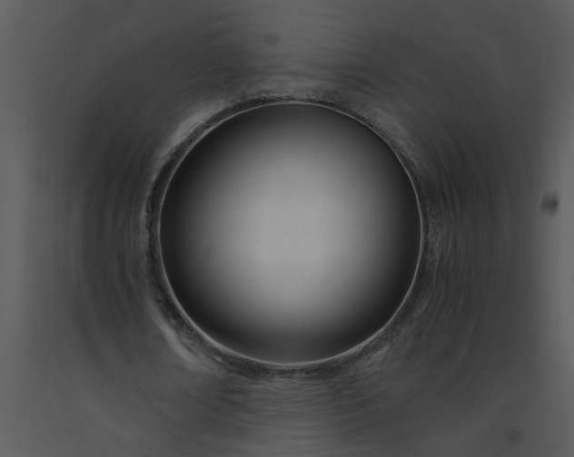 X0000091450674200708301810