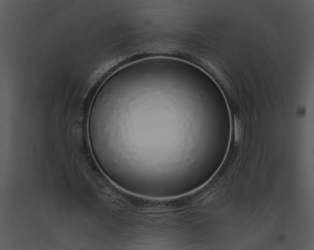 X0000091450675200708301810