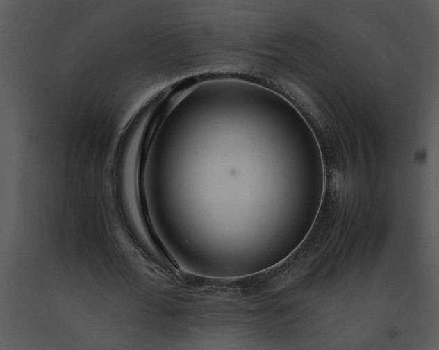 X0000091450676200708301810
