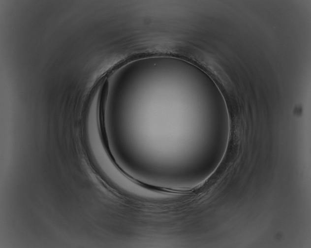 X0000091450677200708301810