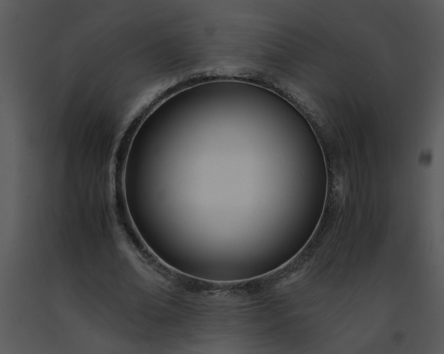 X0000091450678200708301810