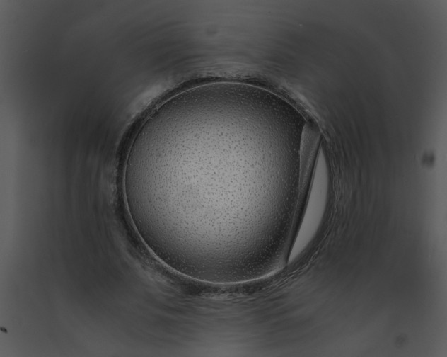 X0000091450679200708301810