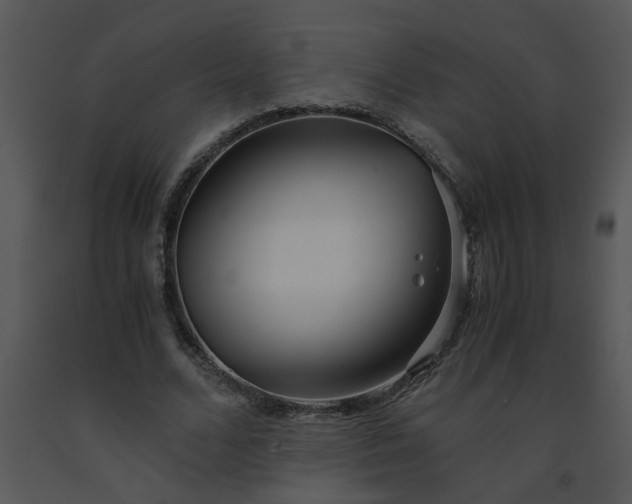X0000091450680200708301810