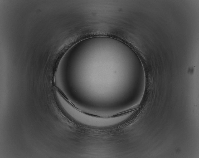 X0000091450681200708301810