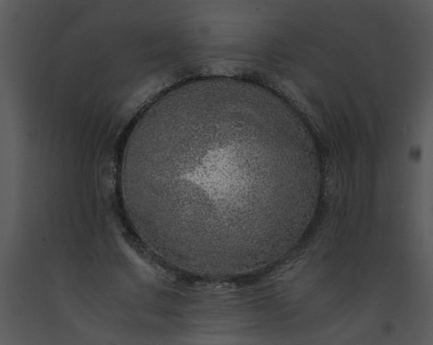 X0000091450683200708301810