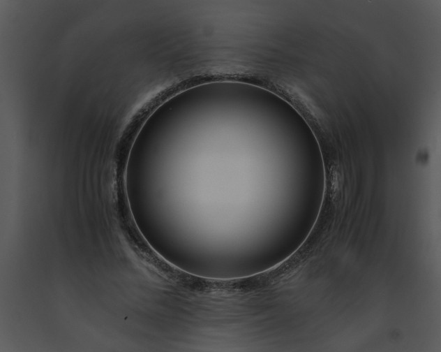 X0000091450684200708301810