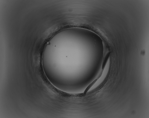 X0000091450685200708301810