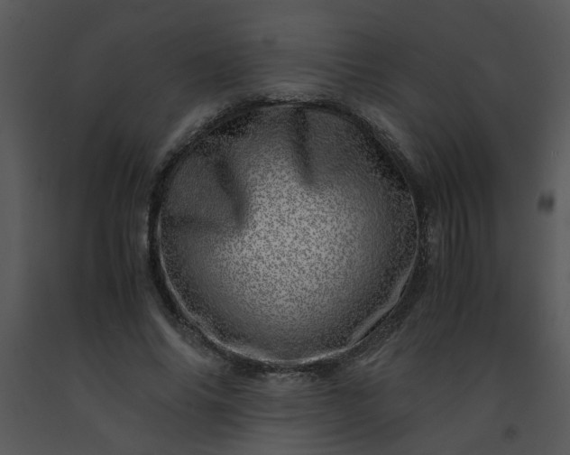 X0000091450686200708301810