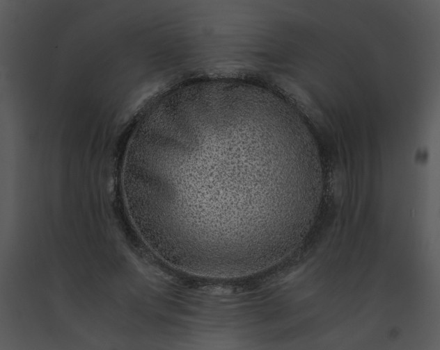 X0000091450687200708301810
