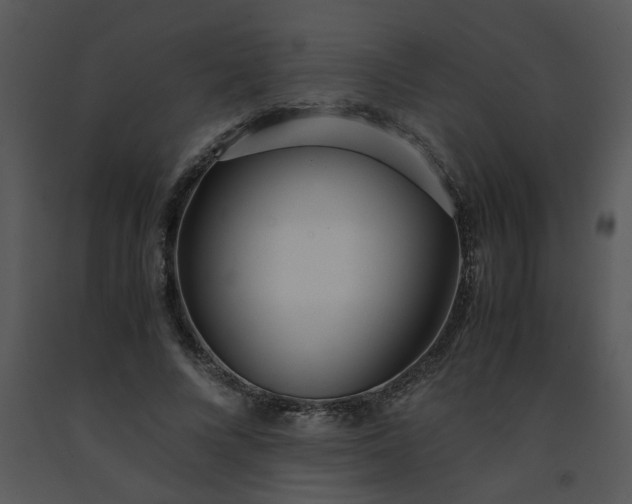 X0000091450688200708301810