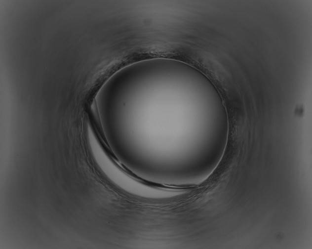 X0000091450689200708301810
