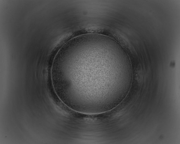 X0000091450690200708301810