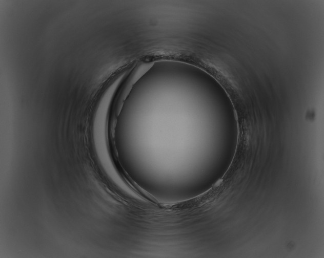 X0000091450692200708301810