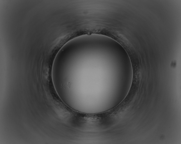 X0000091450693200708301810