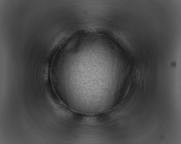 X0000091450694200708301810