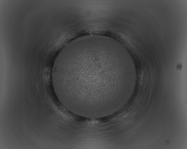 X0000091450695200708301810