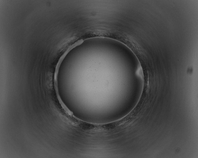 X0000091450696200708301810