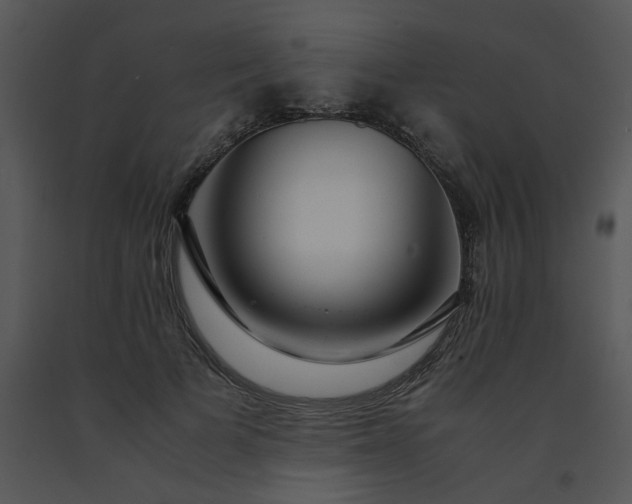 X0000091450697200708301810