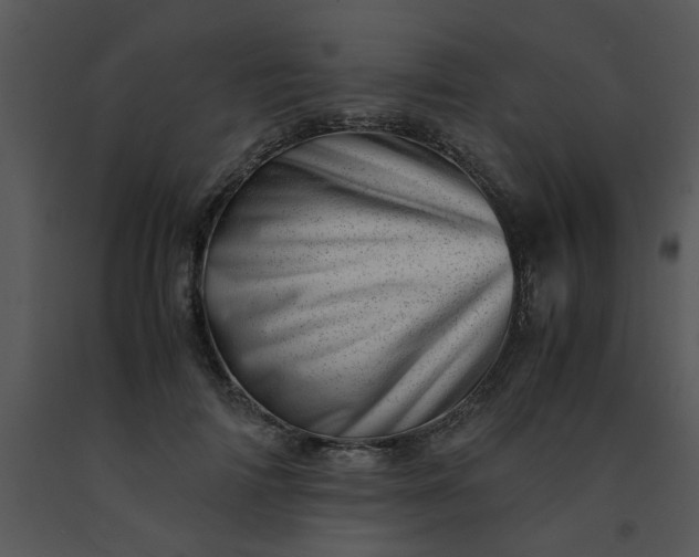 X0000091450698200708301810