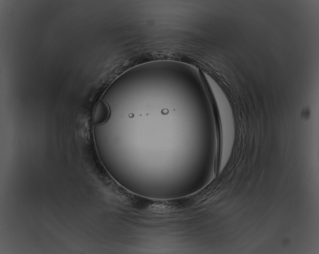 X0000091450699200708301810